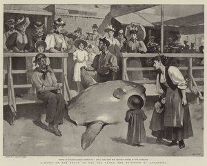 Uma cena na costa em Mar del Plata, o Brighton da Argentina